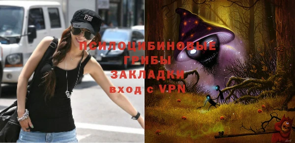 твердый Алексин