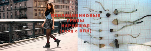 твердый Алексин