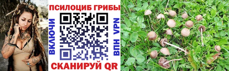 МЕГА зеркало  Мыски  Галлюциногенные грибы GOLDEN TEACHER  дарнет шоп 