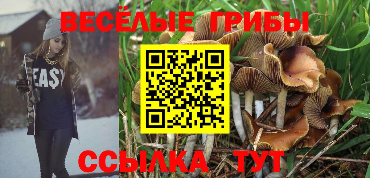 Галлюциногенные грибы ЛСД  Вход с VPN  наркошоп  Галлюциногенные грибы Magic Shrooms  Мыски 