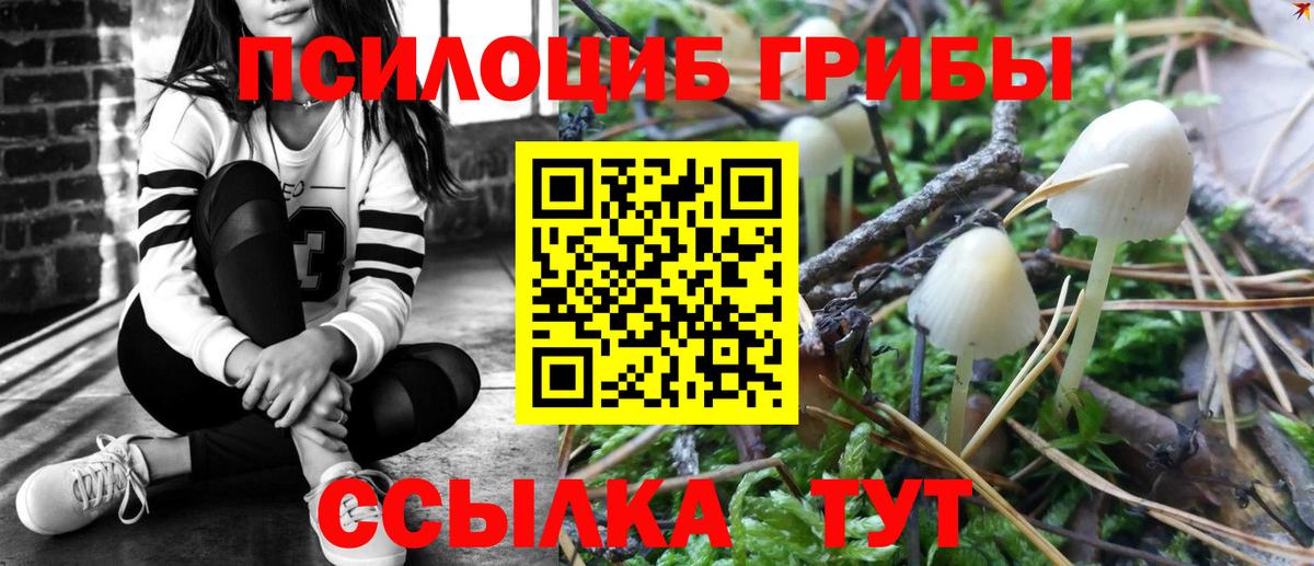 Псилоцибиновые грибы Magic Shrooms Мыски